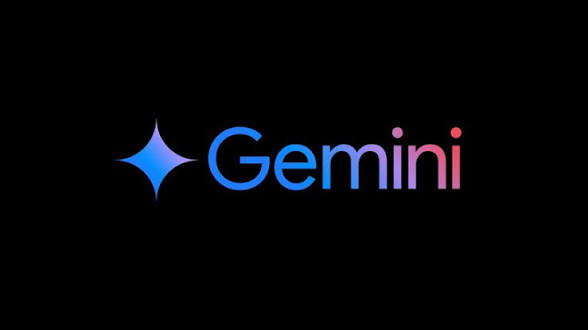 Google gemini 18 meses